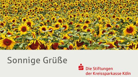 Online Banking Kreissparkasse Koln